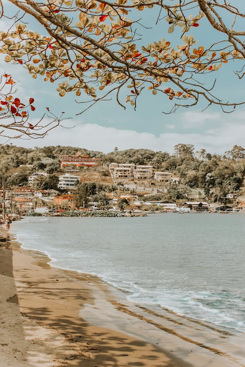 Small coastal settlement on sunny summer day