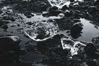 Pieces of ice on rocky ground with water