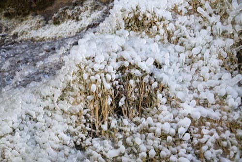 From above of grass area covered with frozen sleet in daylight in winter