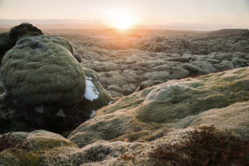 Sunset over rocky terrain covered with moss