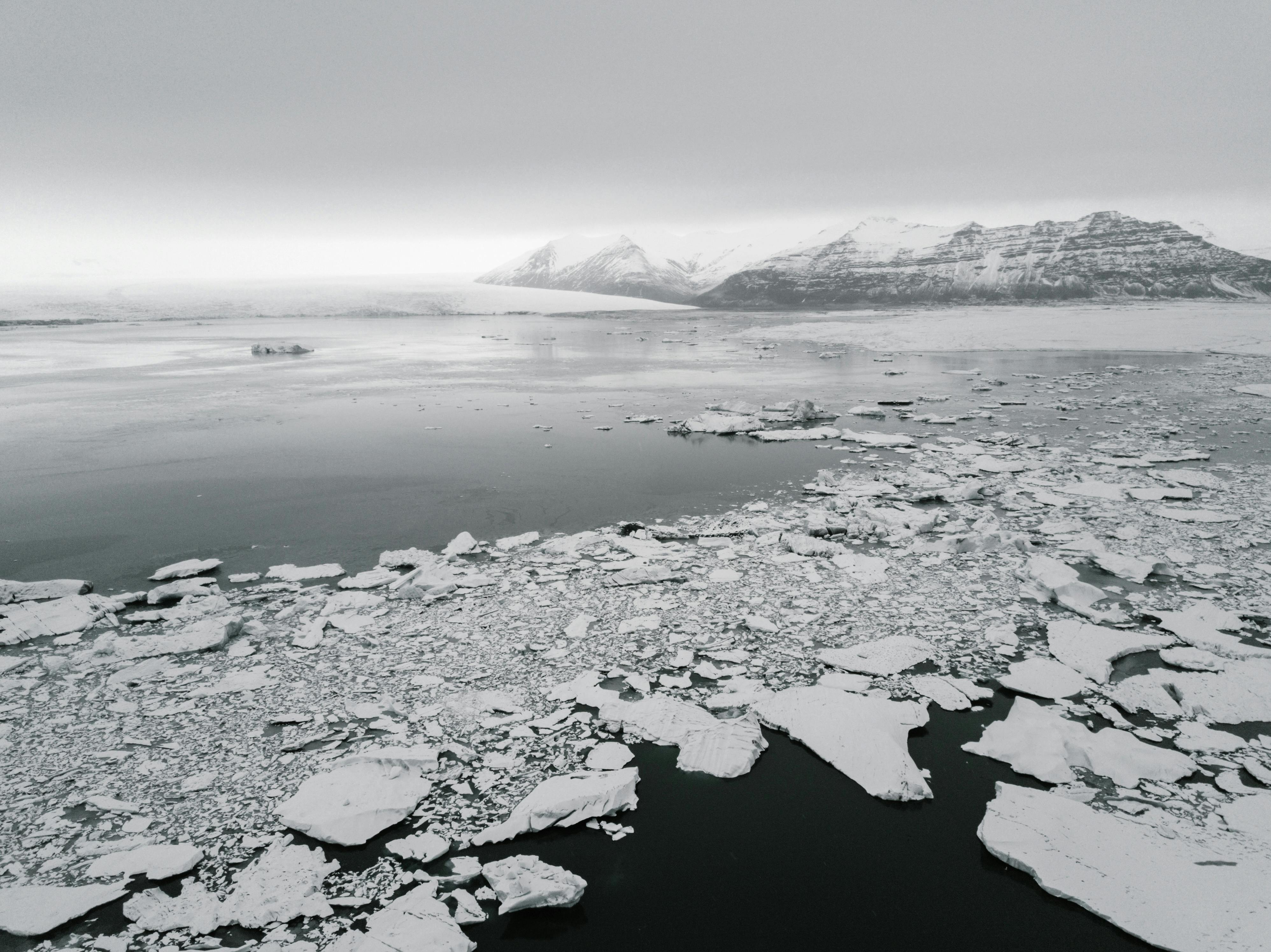 Antarctica Photos, Download The BEST Free Antarctica Stock Photos & HD  Images