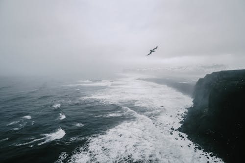 Gratis stockfoto met afzondering, alleen, baai