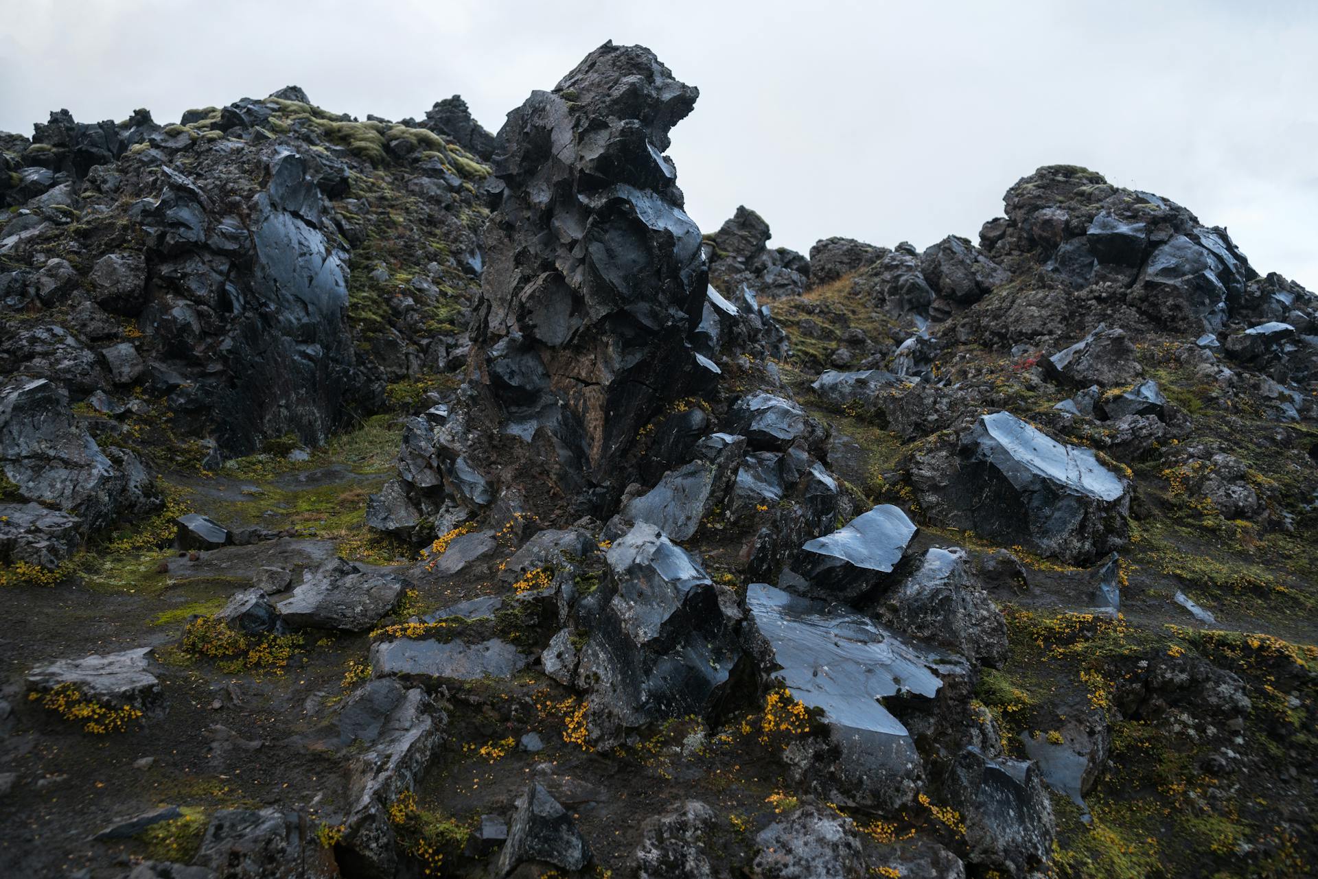 From below of wet black rocks on seacoast overgrown with yellow and green northern moss on cloudy day