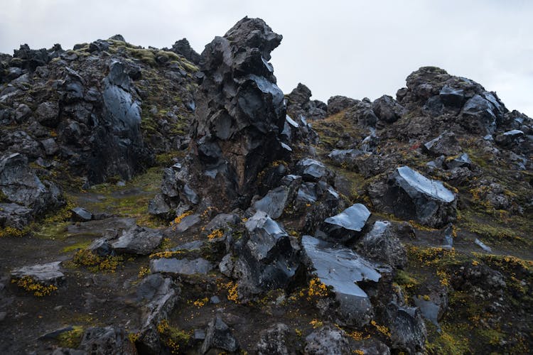 Black Seashore Rocks Grown With Northern Moss