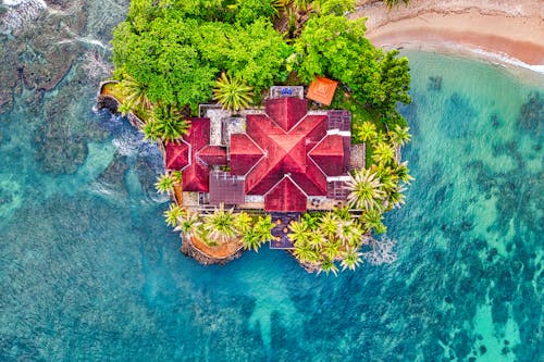 Aerial View of Green Trees and Red and Brown House Roof