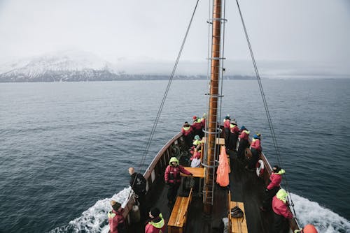 From above of unrecognizable people in similar outerwear standing on modern sailboat and admiring sea and mountains in winter day