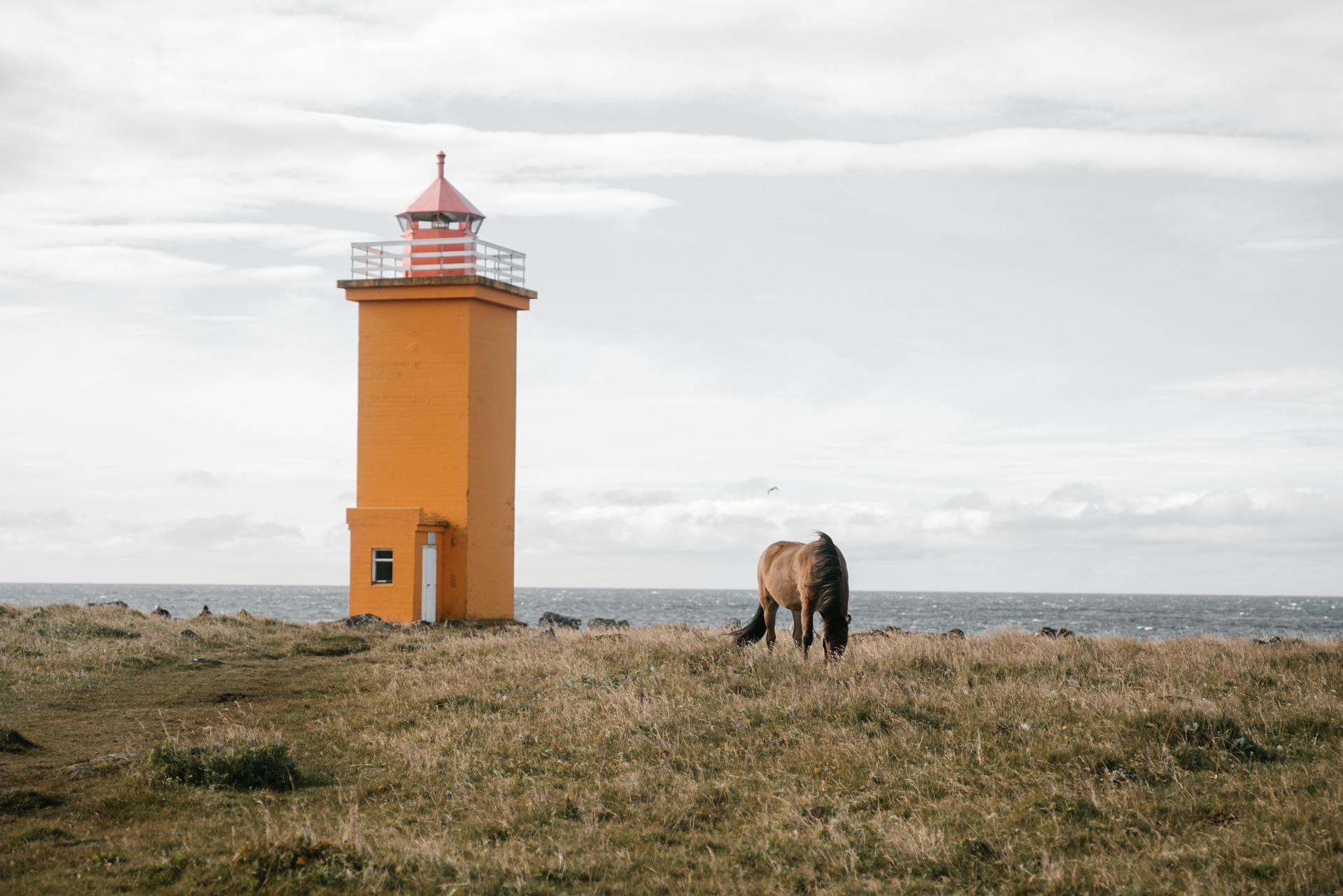 Un cheval solitaire en peau de cerf pâturant sur une plage herbeuse desséchée près d'un petit phare orange par une journée nuageuse terne