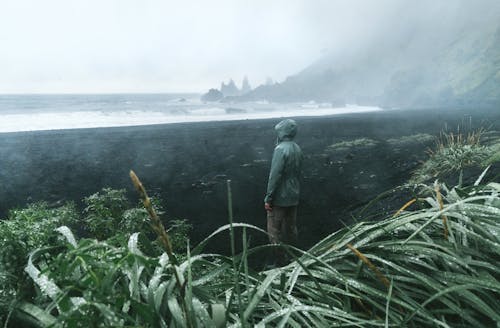 Side view of anonymous tourist in raincoat standing in front of ocean surrounded by mounts in mist and grass with dew on leaves under overcast sky