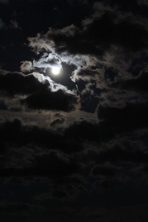 Free stock photo of full moon Stock Photo