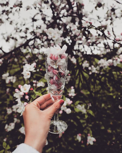 Vertical Shot of Woman Holding Glass Full of Blossom