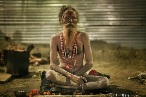 Kostnadsfri bild av helig person, hindu, indien