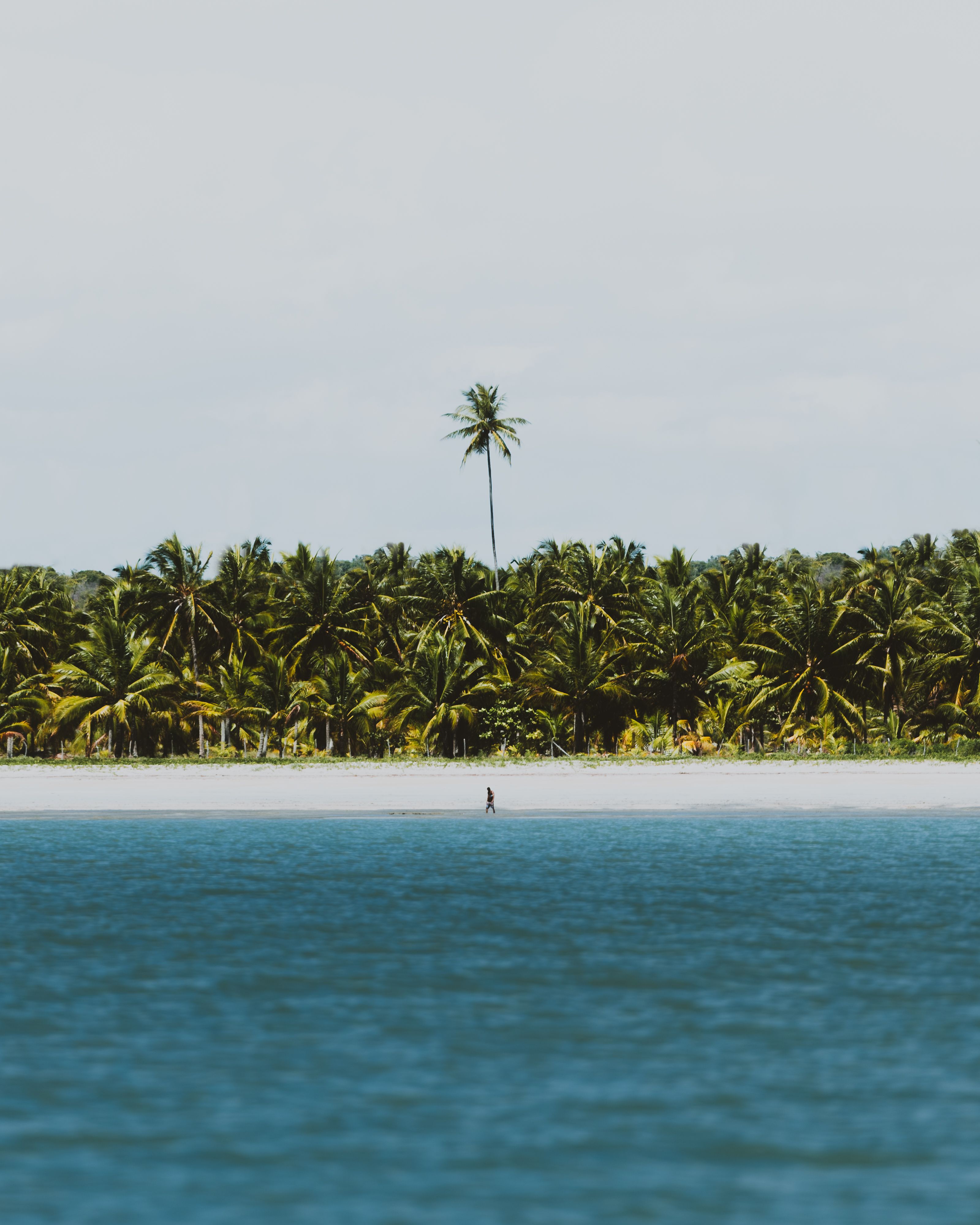 Royalty-Free Images for Commercial Use — Millions of Free Stock Photos ...