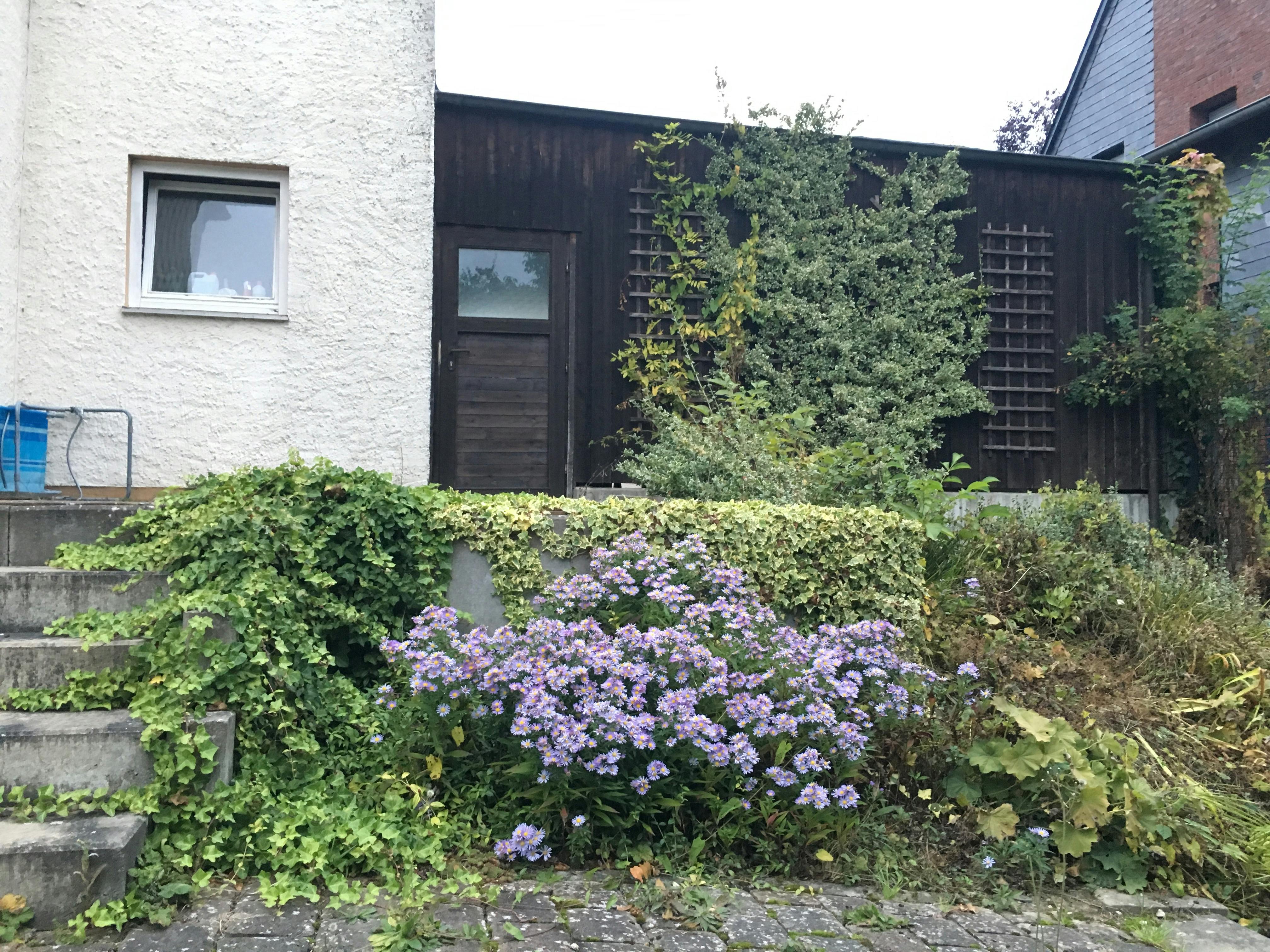 拓普泰克关联交易与业绩独立性分析