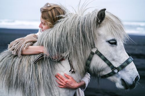Free Blond lady cuddling warm blooded grey stallion with thick mane and white eyelashes in bridle while standing on seashore in afternoon and looking away Stock Photo