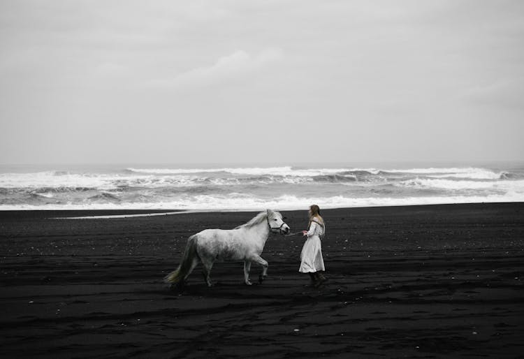 Unrecognizable Woman Walking With Gray Stallion On Sea Beach