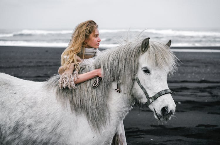 Woman Caressing Gray Stallion On Beach Near Ocean In Daylight