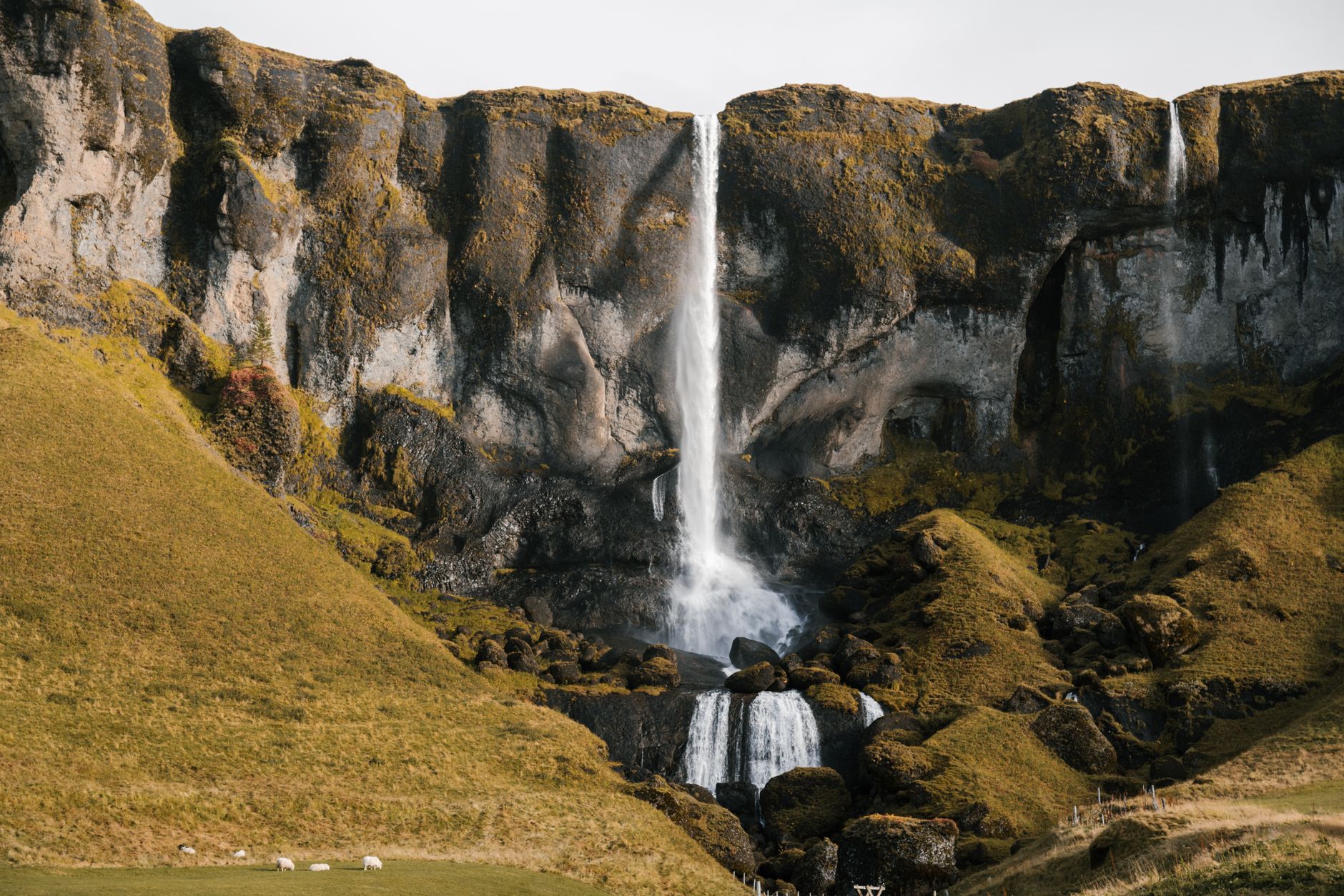 Berkontribusi di Proyek FOSS
