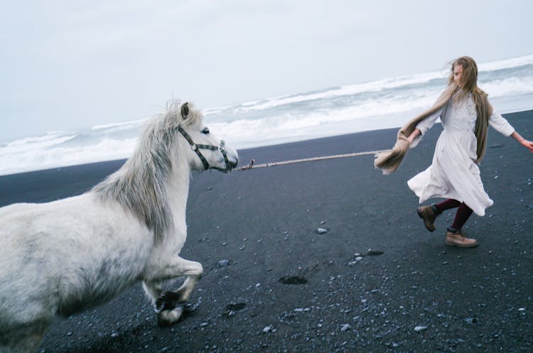 Romantic Teenage Girl Leading Horse On Black Sand Shore