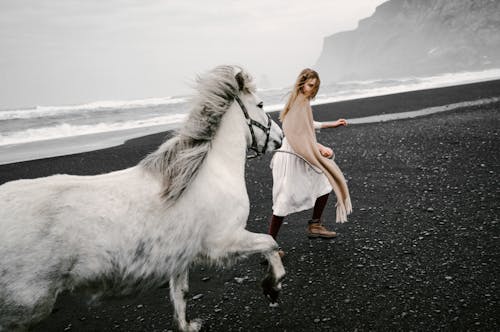 Free Inspired teen girl leading horse on black sand beach Stock Photo