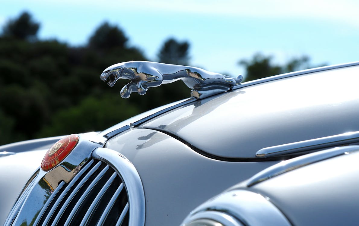 Close-up Photography of Jaguar Hood Ornament