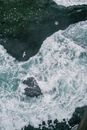Top view of amazing scenery of foamy sea and seagull flying over rolling wave near rocky shore in stormy weather