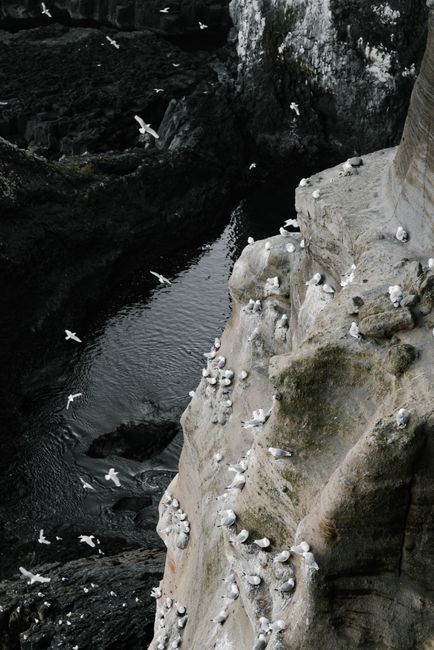 From above of amazing scenery of rocky cliff over sea and birds nesting on rock and flying over sea in daytime