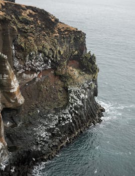 从崎岖的悬崖上俯瞰大海，点缀着海鸟的景色令人惊叹