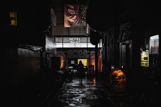 Silhouette of a woman walking down a dimly lit alley in Tokyo at night with neon lights.