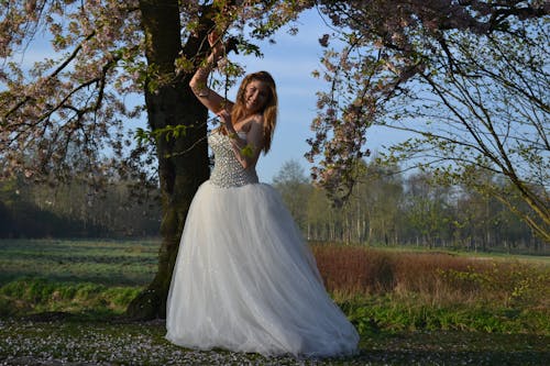Free stock photo of bride, dresss, wedding