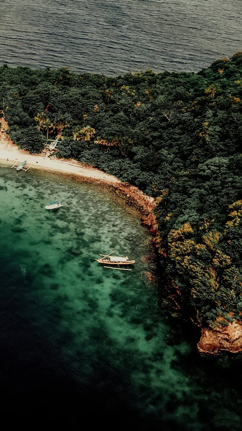 An Aerial Photography of a Beach Near the Green Trees