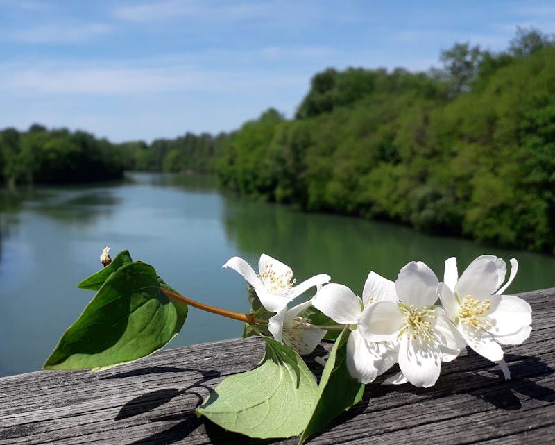 Топографическая карта и оборудование для зондирования