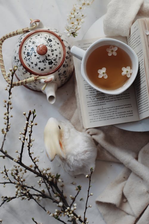 Overhead view of white tiny petals on surface of tea in cup on opened book next to teapot composing with branch with buds and Easter bunny