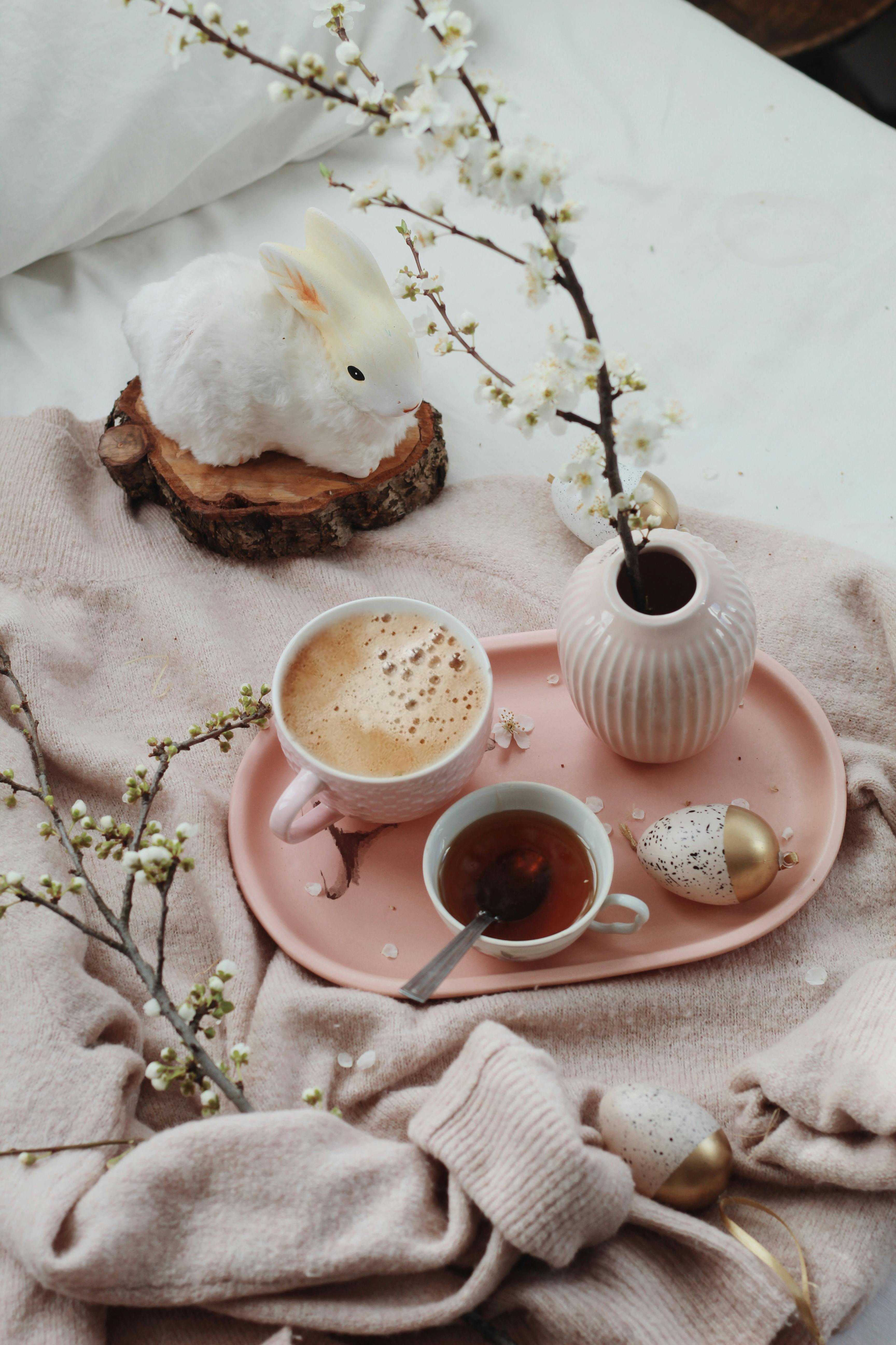 Egg and flowers on windowsill at home · Free Stock Photo