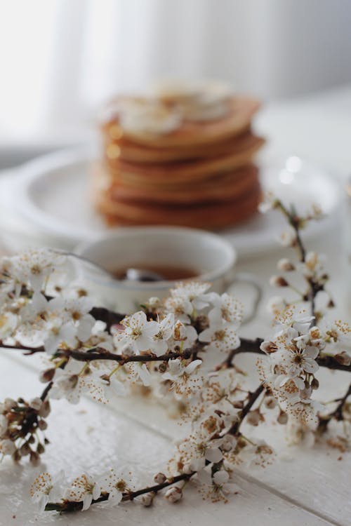 Free Branch with flowers on table in kitchen Stock Photo