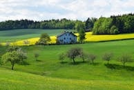 White House Near Green Leafed Trees