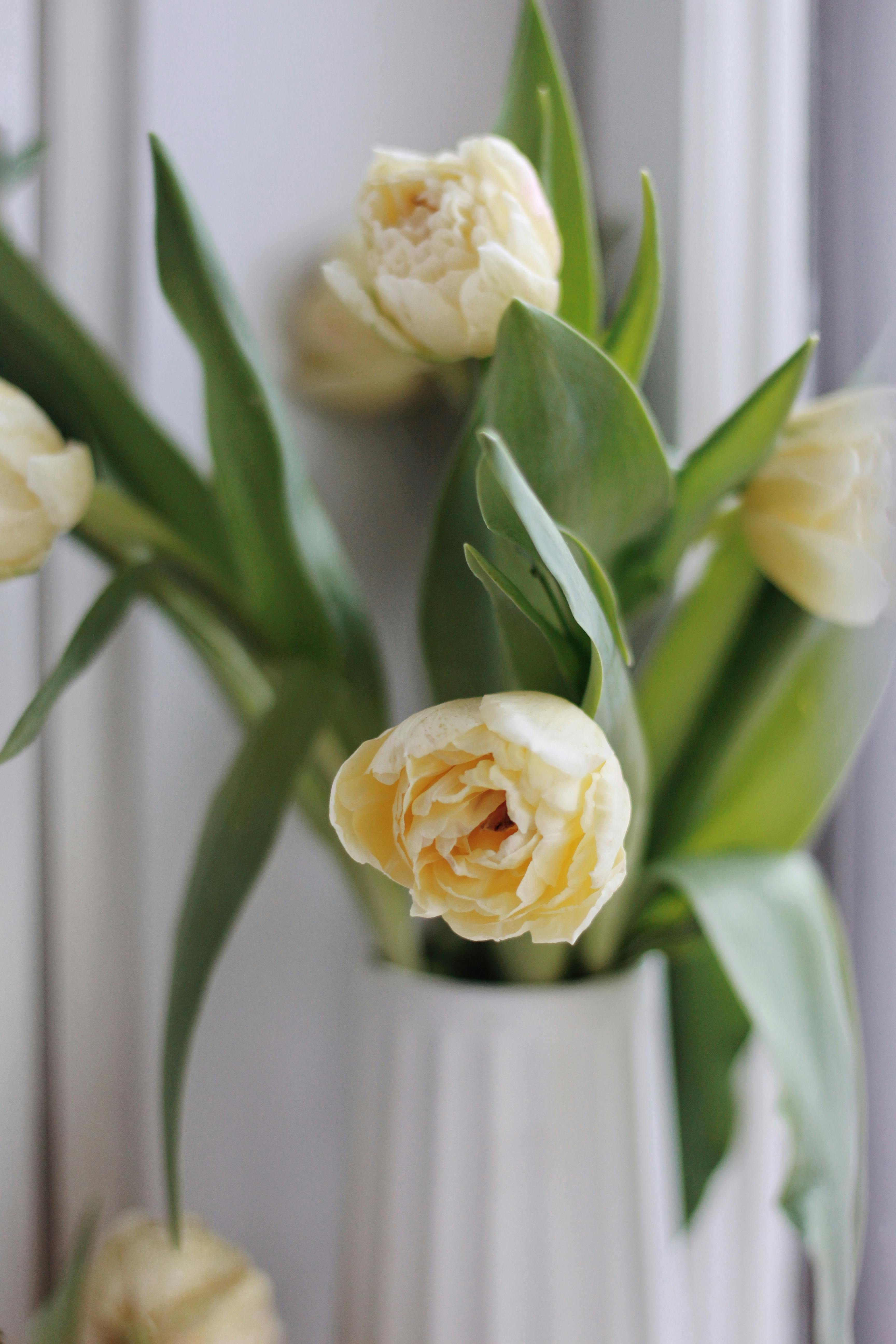 现代公寓的桌子上，摆放着一束精致的黄色郁金香花束