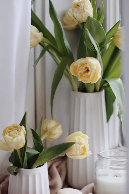Free Yellow flowers in vases on table Stock Photo