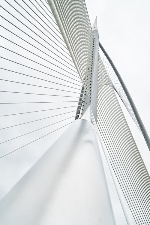 橋のローアングル写真