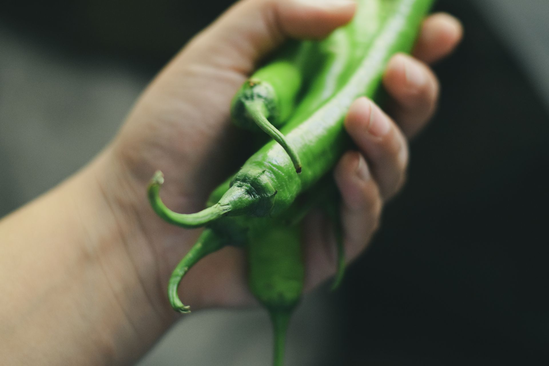 Green hot peppers in hand