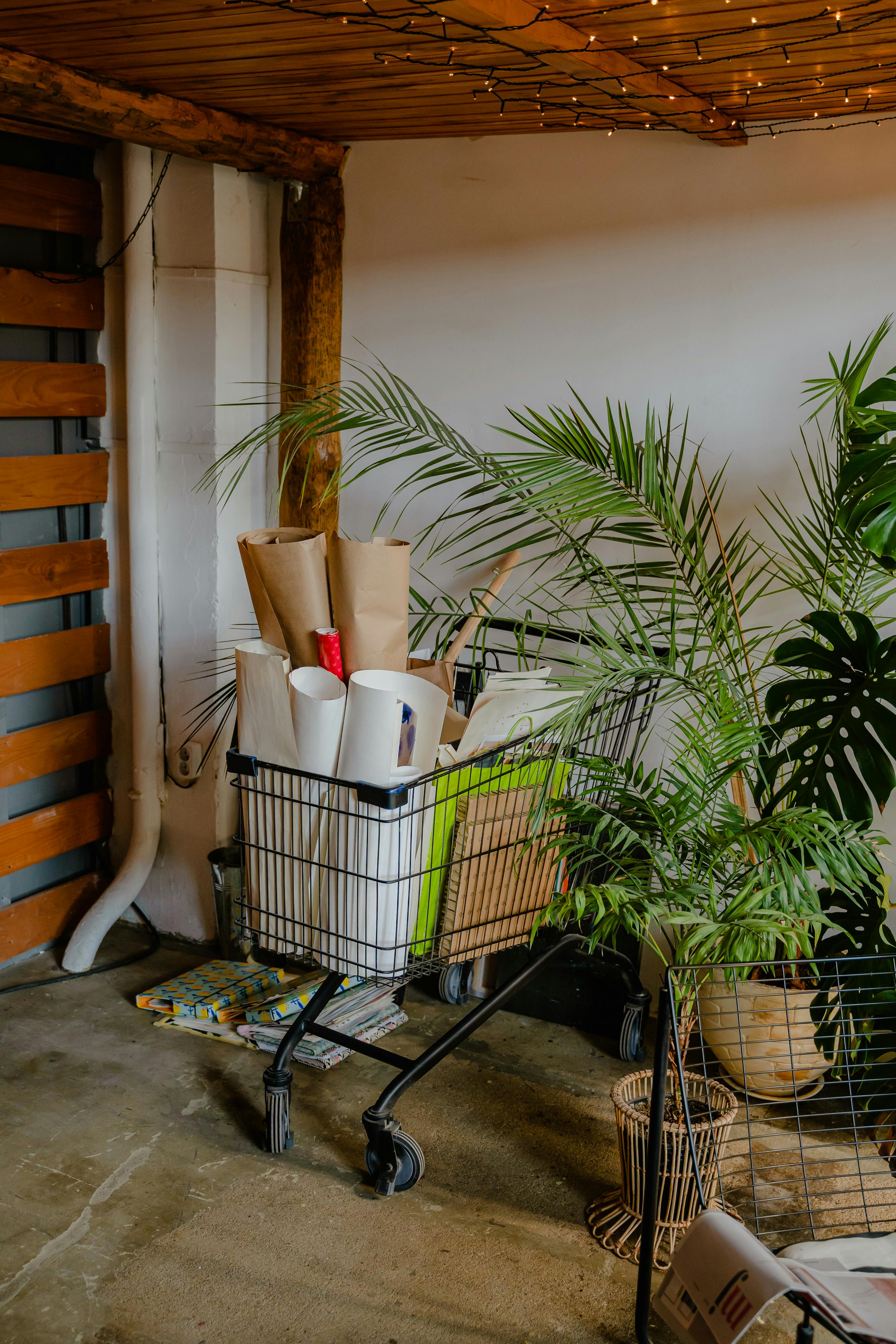 舒适的室内场景中，购物车里装满了面包卷和包裹，旁边还摆放着室内植物