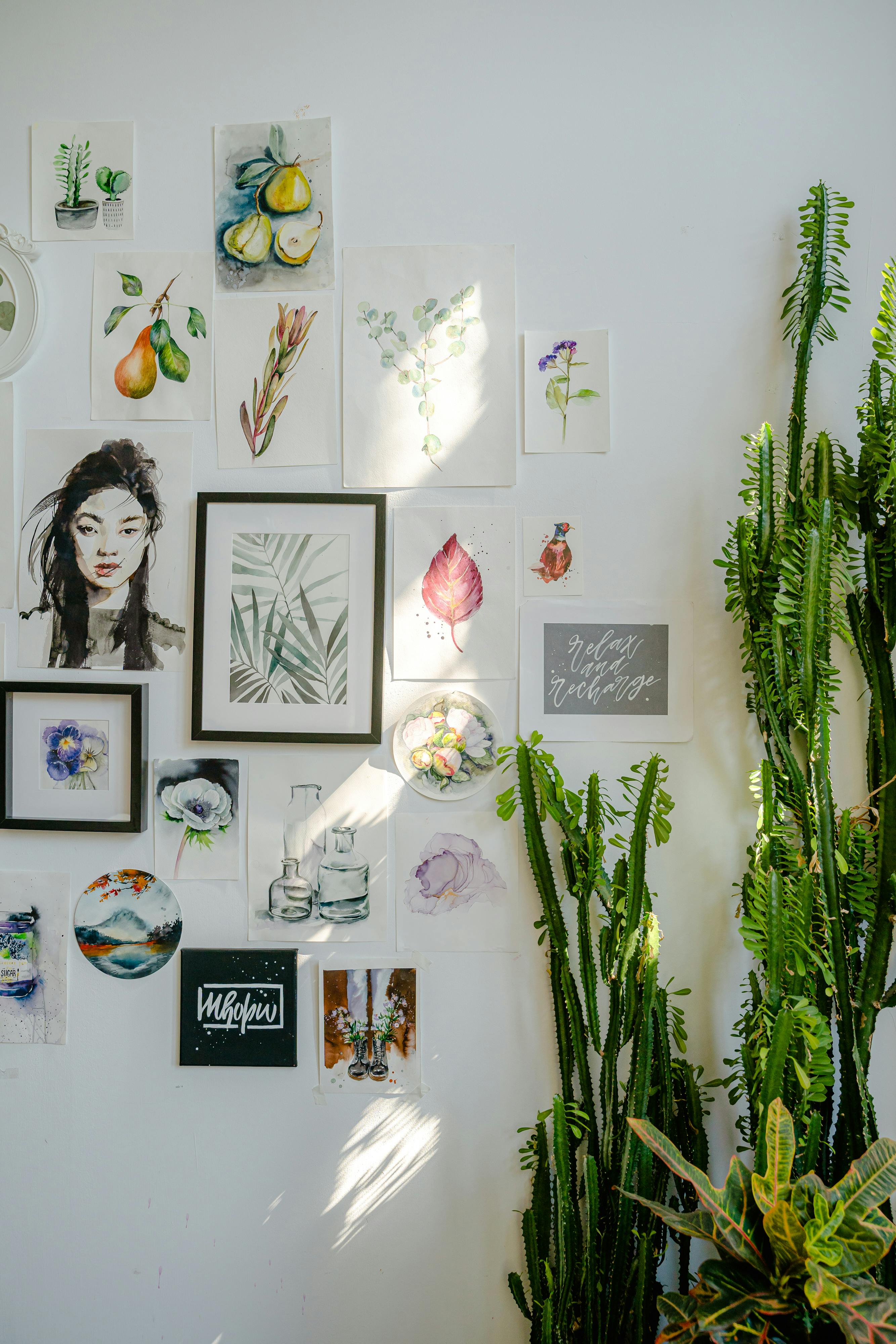 green indoor plants beside white wall with paper art drawings