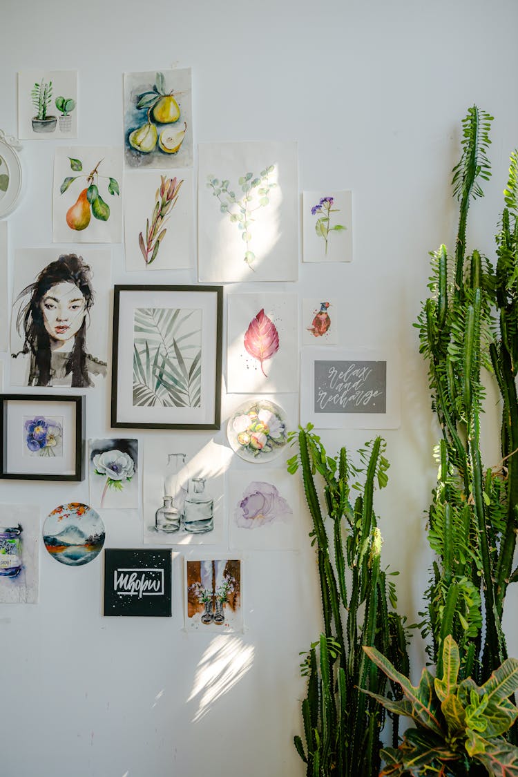 Green Indoor Plants Beside White Wall With Paper Art Drawings
