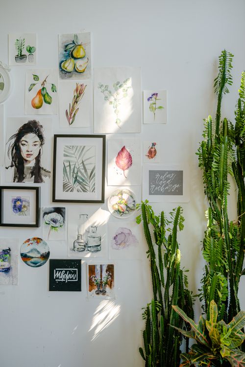 Green Indoor Plants Beside White Wall with Paper Art Drawings  Free Stock  Photo