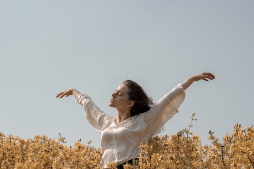 Free Woman At A Flower Field Stock Photo