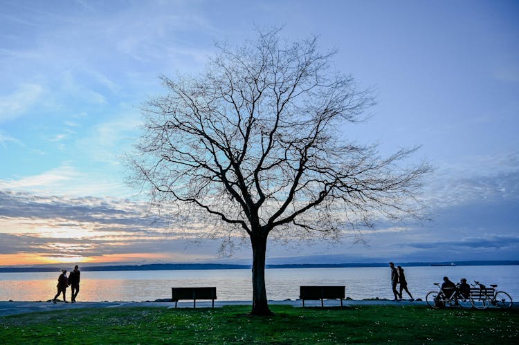 Promenade By Lake