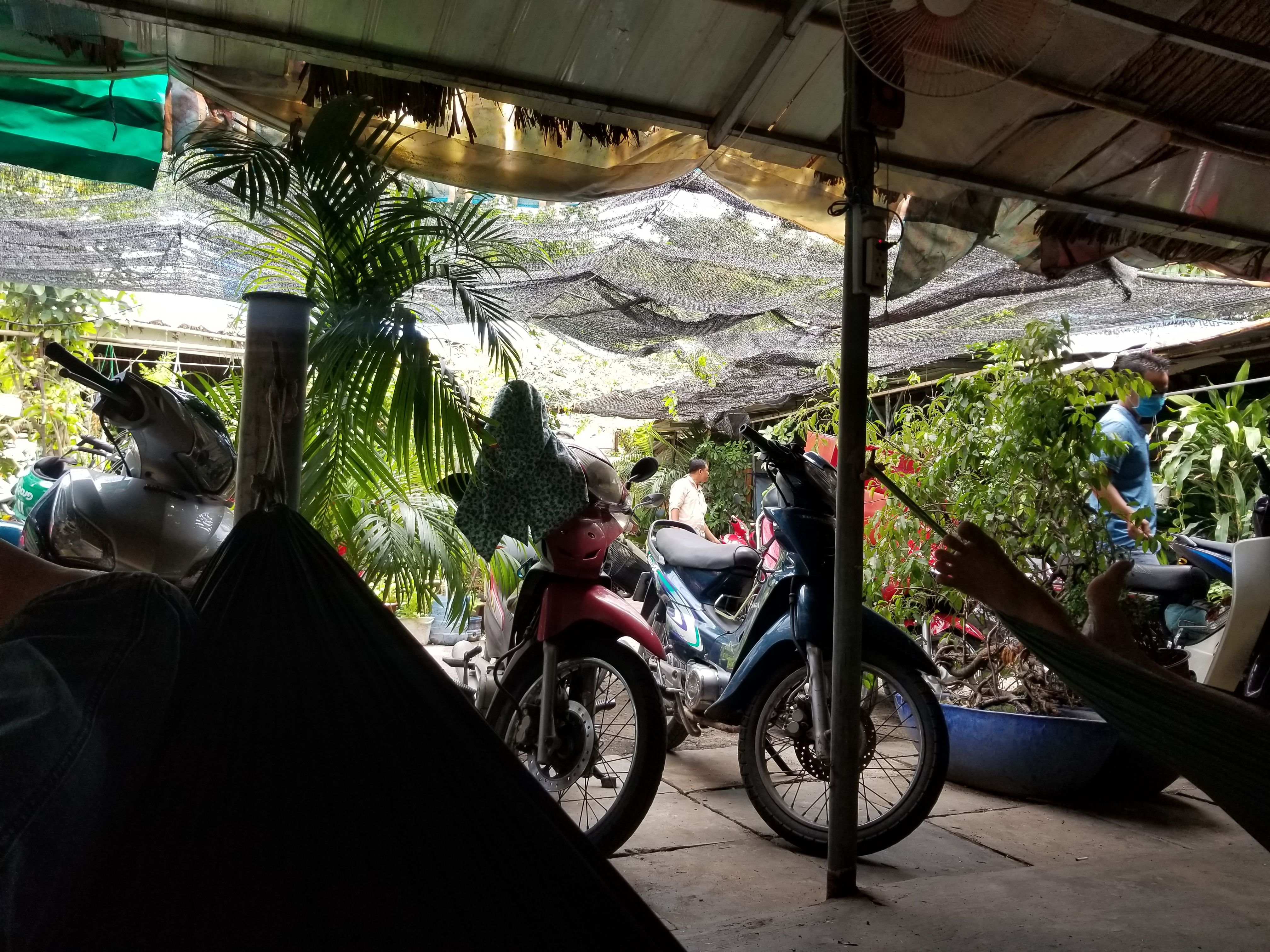 Hình ảnh minh họa khoa học cà phê