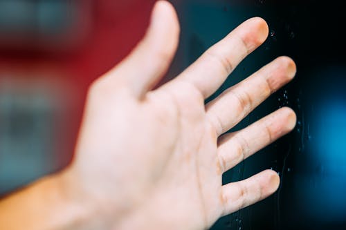 Free Close-Up Photo of Person's Hand Stock Photo