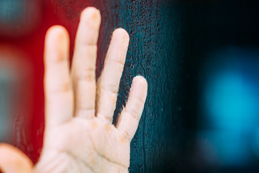 Crop unrecognizable person showing raised hand with calluses illuminated by colorful light near tree trunk
