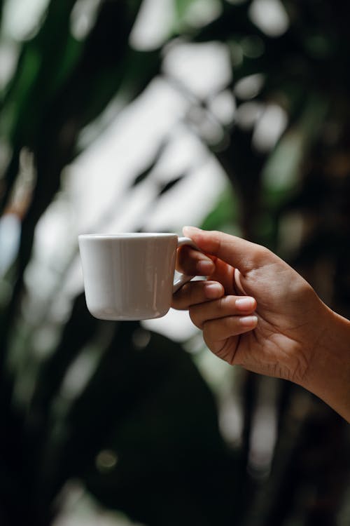 Free Crop anonymous person enjoying cup of fresh aromatic coffee against blurry background of big green house plants Stock Photo