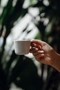 Crop anonymous person enjoying cup of fresh aromatic coffee against blurry background of big green house plants
